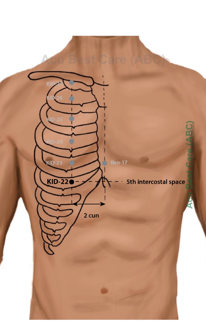 Acubestcare Meridian K-22 or KID-22